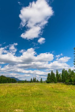 Romanya'da doğal peyzaj