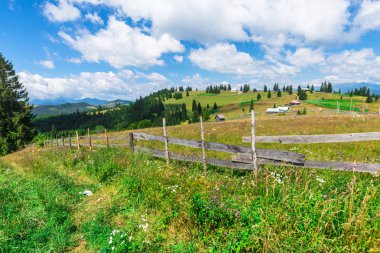 Romanya'da doğal peyzaj
