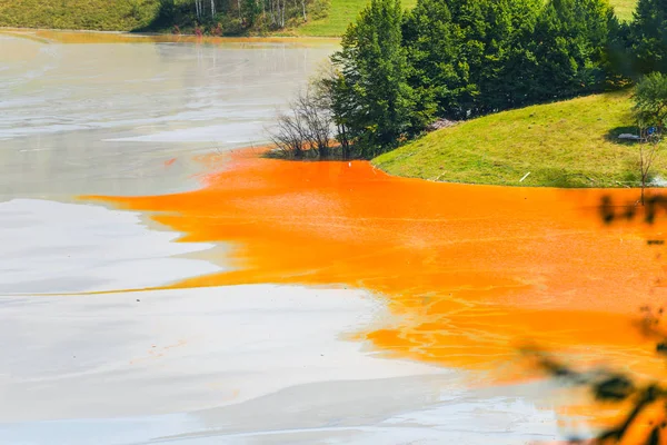 Paisaje Contaminado Agua Del Lago Contaminación Del Ecosistema — Foto de Stock