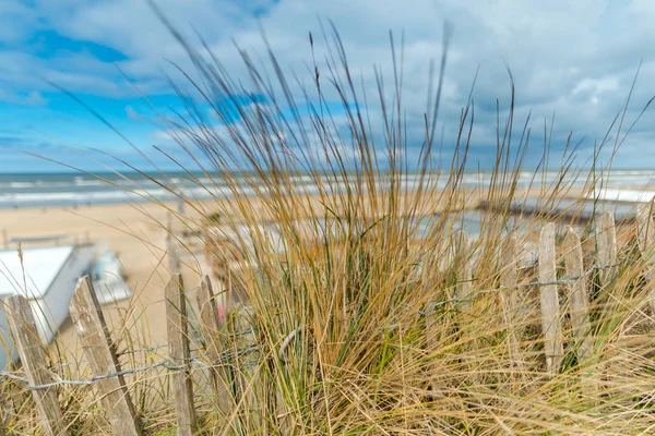 Zeegezicht Achtergrond Griekenland Natuur — Stockfoto