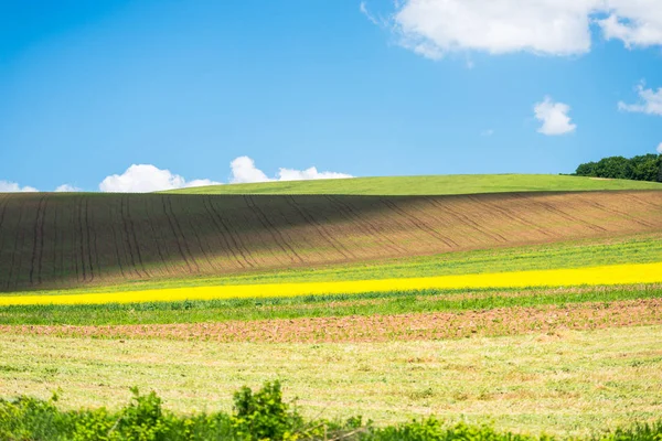 Céu Azul Nublado Campo Prado Rural — Fotografia de Stock