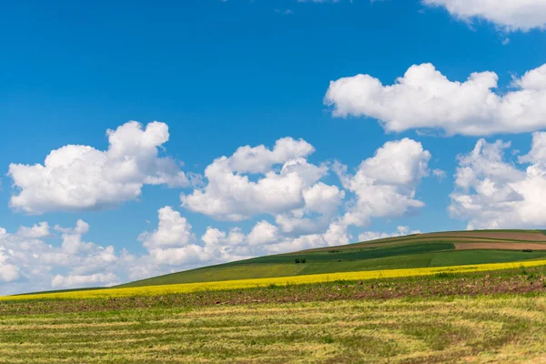 Céu Azul Nublado Campo Prado Rural — Fotografia de Stock