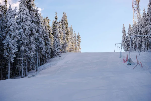 Winterskigebiet Mit Schneebedeckten Tannen — Stockfoto