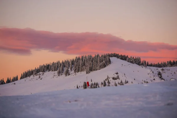 Besneeuwde Bomen Het Winterseizoen Berg Avondrood — Stockfoto