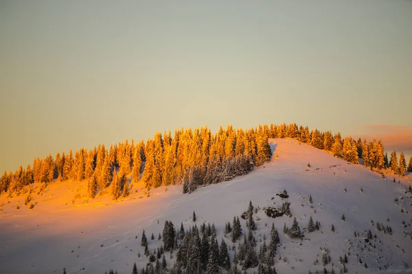 Karla Kaplı Ağaçlar Kış Sezonu Dağ Günbatımı Gökyüzü — Stok fotoğraf