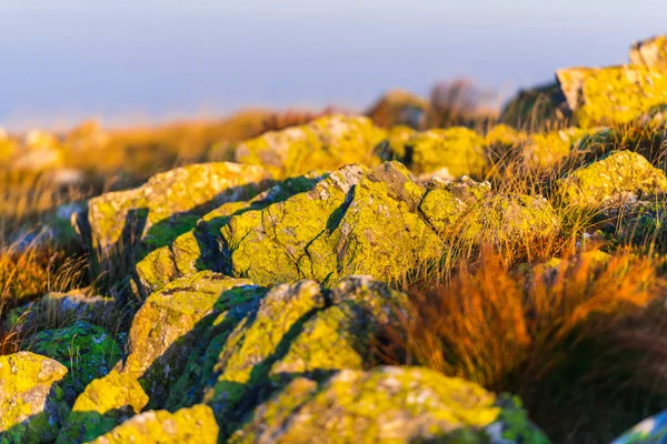 Камені Горі Променях Заходу Сонця — стокове фото