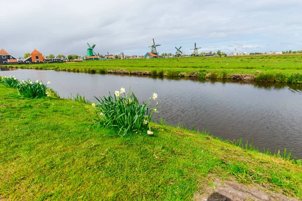 Moinhos Vento Tradicionais Beira Rio Zaanse Schans Zaandam Países Baixos — Fotografia de Stock