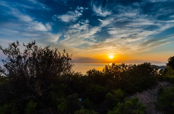 Majestoso Céu Por Sol Acima Água Lago Árvores Crescimento Plantas — Fotografia de Stock