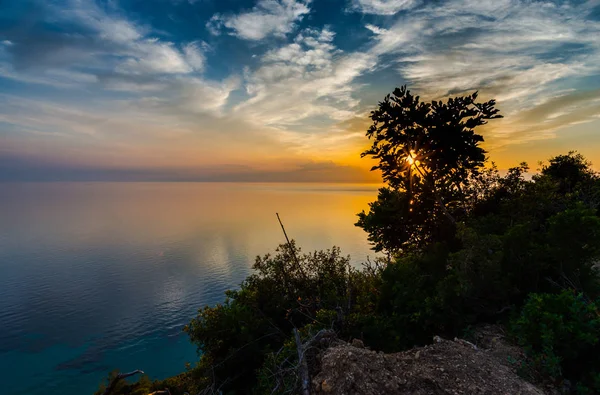 Görkemli Günbatımı Gökyüzü Yukarıda Deniz Suyu Büyüyen Bitkiler Ağaçlar — Stok fotoğraf