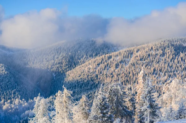 Invierno Bosque Vista Aérea Sobre Montañas Cubiertas Nieve Paisaje Con — Foto de Stock