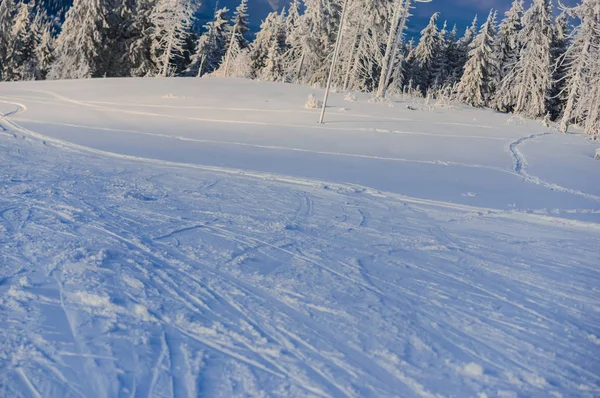 Winter Wald Skigebiet Den Bergen — Stockfoto