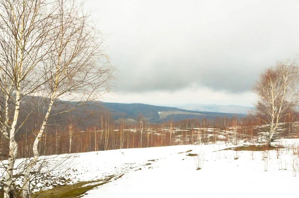 Landscape Mountains Winter Romania — Stock Photo, Image