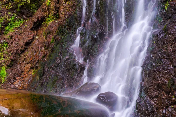 Wasserfall Sommer Frischer Wald — Stockfoto