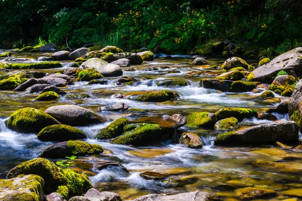 Krajina Lesy Řekou Rumunsko — Stock fotografie