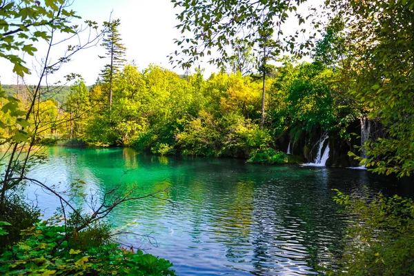 森林と川のある風景 ルーマニア — ストック写真