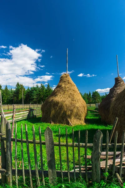Hay stacks in yard with wooden fence
