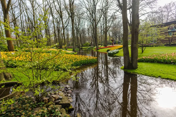 Parque Primavera Con Río Árboles — Foto de Stock