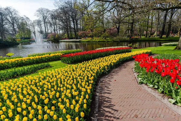 Parque Primavera Com Lago Árvores Tulipas Flores — Fotografia de Stock