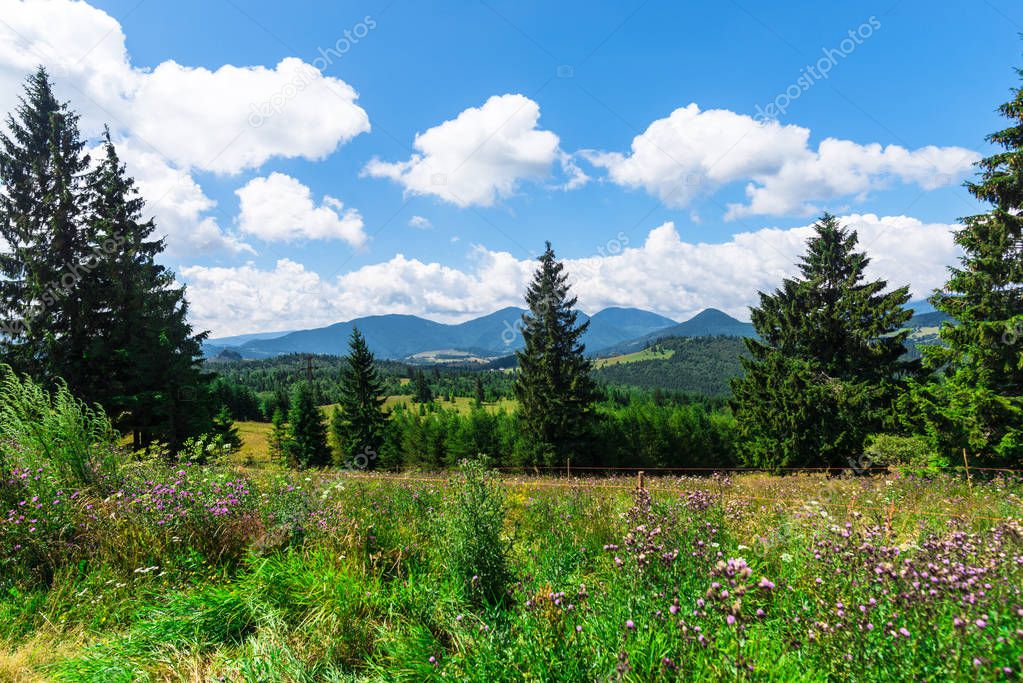 Natural landscape in Romania