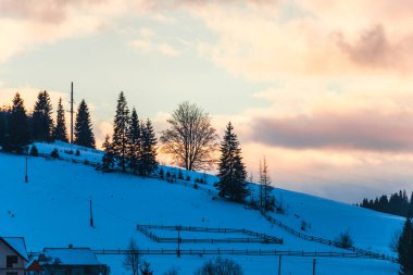 Karpat Dağları ağaçların kış sezonu 
