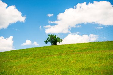 mavi bulutlu gökyüzü ve kırsal manzara yeşil çim çayır ve ağaç 