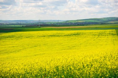 bulutlu gökyüzü ve kırsal çayır alan 