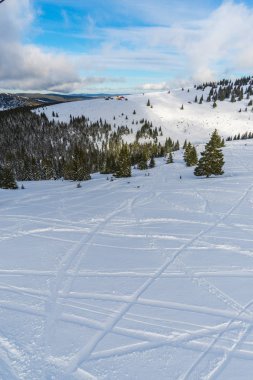 Kış dağlar karlı köknar ağaçları, iğne yapraklı orman ile doğal arka plan ile.