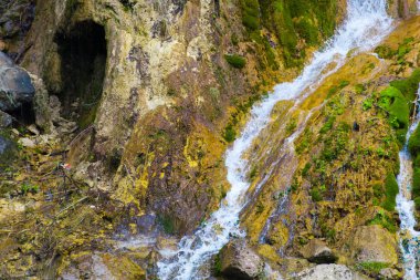 Bahar ormanında eriyen şelale