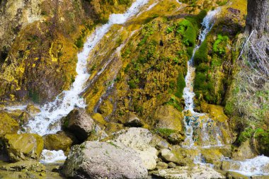 Bahar ormanında eriyen şelale