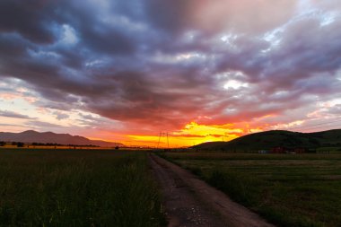 Gün batımı gökyüzü arka plan ile alanda elektrik direkleri.