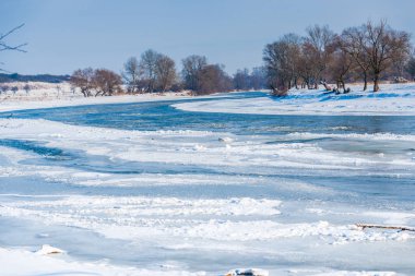 Kış ormanının detayları, doğal arka plan.