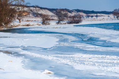 Kış ormanının detayları, doğal arka plan.