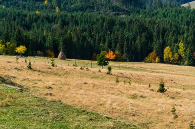 Sonbahar tepeler ve renkli ağaçlar olan alanlar