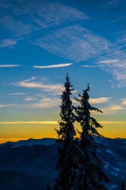 kar yukarıda gökyüzü günbatımı ağaçlar kış sezonunda kaplı.