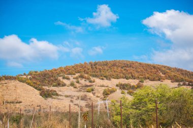 Sonbaharda kurutulmuş ağaçlar ile Tepeler