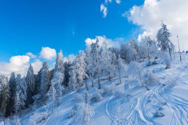 Kış dağlar karlı köknar ağaçları ile