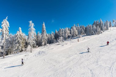 Romanya 'nın Clabucet kentinde kış kayak merkezi.