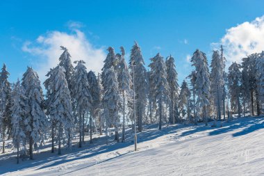 Kış dağlar karlı köknar ağaçları ile