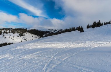 Kış dağlar karlı köknar ağaçları ile
