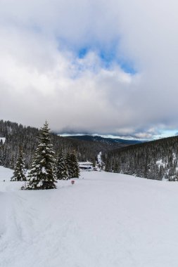 Kış dağlar karlı köknar ağaçları ile