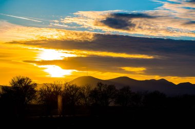 günbatımı gökyüzü ve bush dalları 
