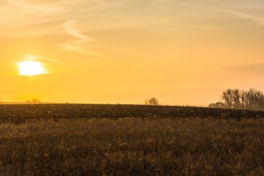 turuncu sakin gün batımı gökyüzü ve peyzaj alanı 