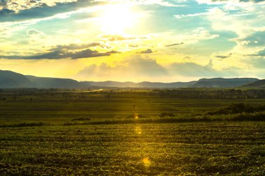Bahar alanının manzarası
