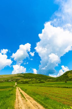 Bahar alanının manzarası