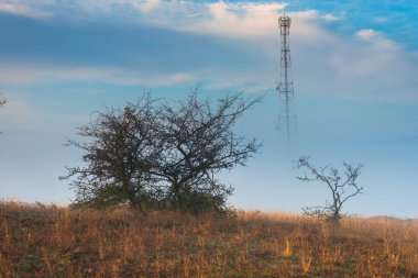 Gün batımı arka planda sisli sonbahar alanı