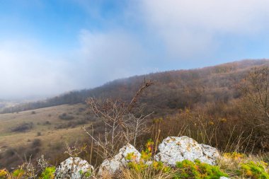 Sonbahar hills taşlar ve bitkiler