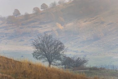 Sonbahar tepeler ve alanların havadan görünümü
