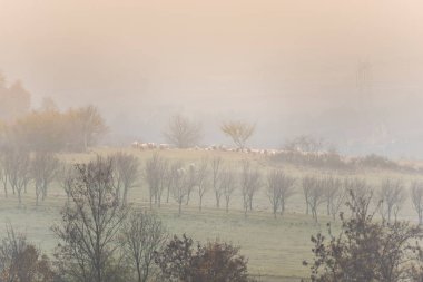 Sonbahar tepeler ve alanların havadan görünümü