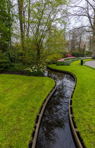 Jardín Con Árboles Flores Tulipanes Florecientes Países Bajos — Foto de Stock