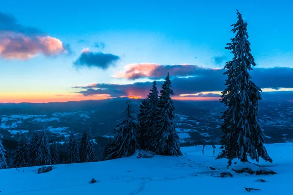 Abetos Cobertos Neve Montanhas Inverno Céu Por Sol — Fotografia de Stock